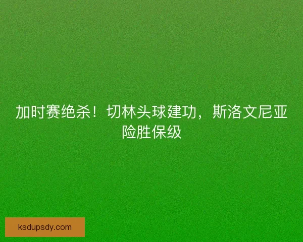 加时赛绝杀！切林头球建功，斯洛文尼亚险胜保级