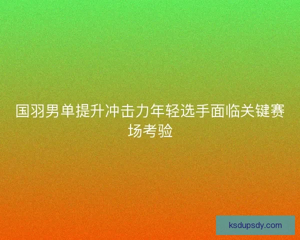 国羽男单提升冲击力年轻选手面临关键赛场考验